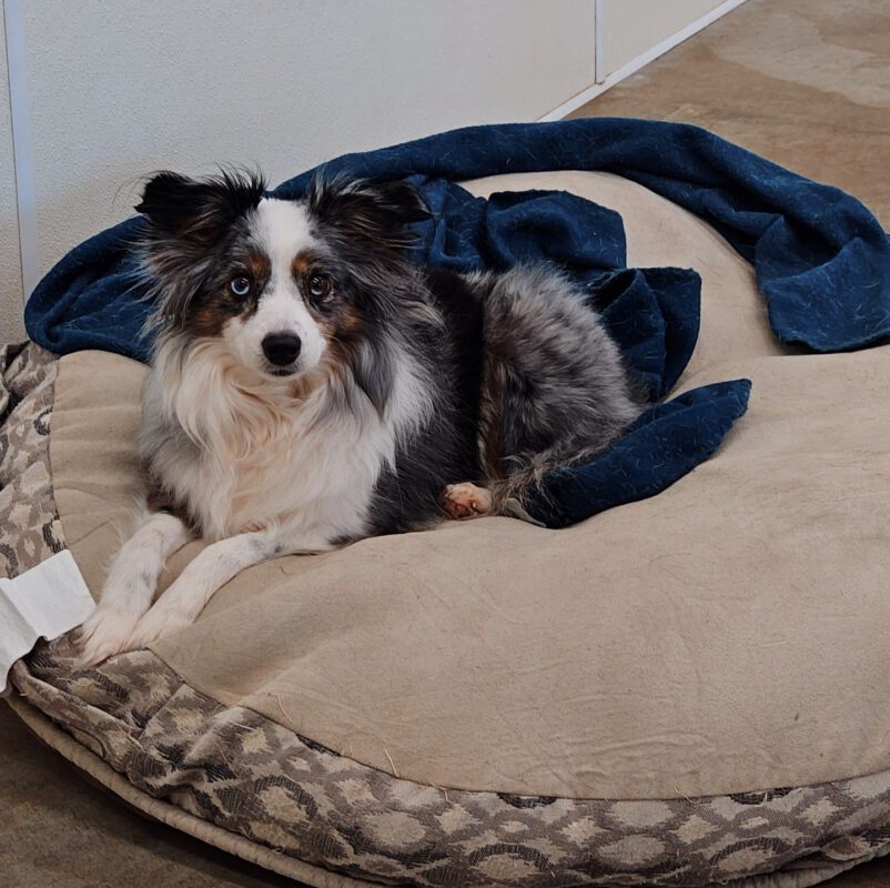 Snapchat-695105518-EDIT